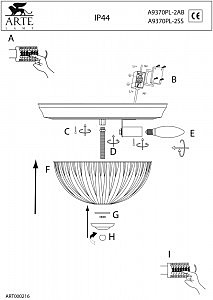 Светильник потолочный Arte Lamp AQUA A9370PL-2SS