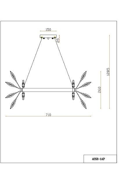 Подвесная люстра Favourite Rays 4058-14P