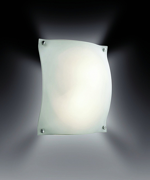 Настенно потолочный светильник Sonex RAVI 2103
