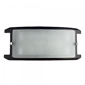 Настенно потолочный светильник Arte Lamp ARCHIMEDE A6462AP-1CK