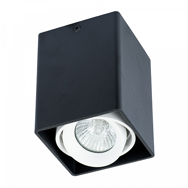 Накладной светильник Arte Lamp Pictor A5655PL-1BK