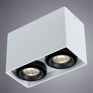 Накладной светильник Arte Lamp Pictor A5655PL-2WH
