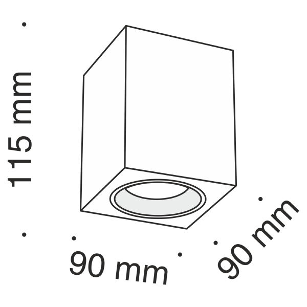 Накладной светильник Maytoni Alfa C013CL-01W