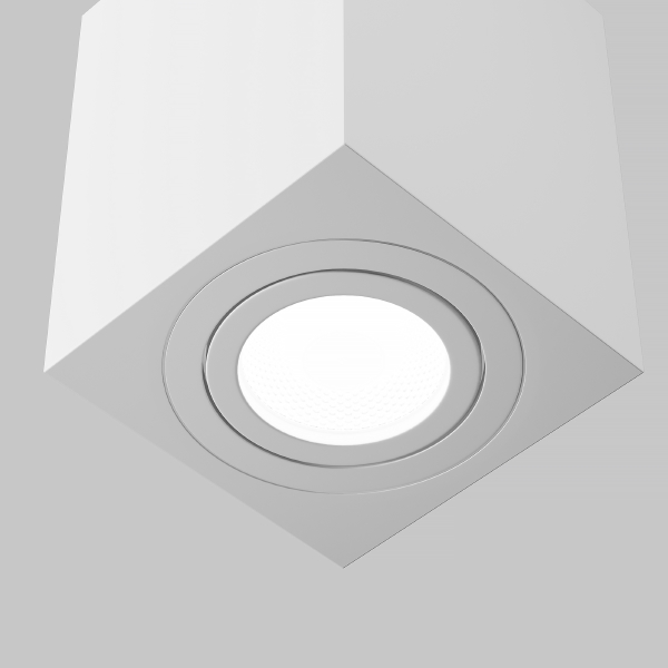 Накладной светильник Maytoni Alfa C017CL-01W