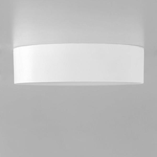 Потолочный светодиодный светильник Citilux Тао CL712120N