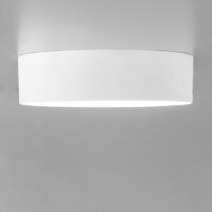 Потолочный светодиодный светильник Citilux Тао CL712120N