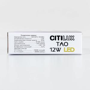 Потолочный светодиодный светильник Citilux Тао CL712120N