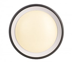 Уличный настенный светильник Deko-Light Canis 731043