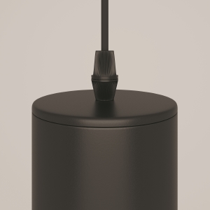 Светильник подвесной Maytoni Focus P075PL-01B