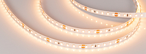 LED лента Arlight RT открытая 024973