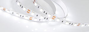 LED лента Arlight RT открытая 012339(B)