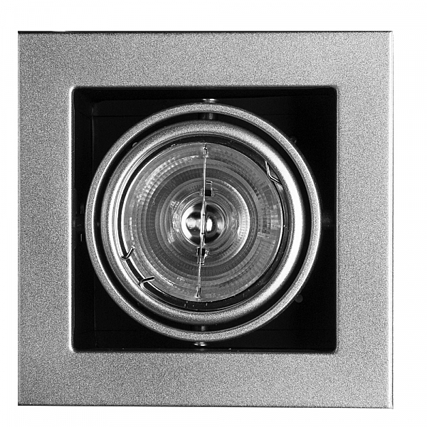 Карданный светильник Arte Lamp Cardani A5930PL-1SI