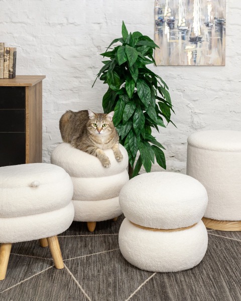 Пуфик Stool Group Полли 22A1018 HY-3