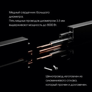 Трековая розетка Arte Milano Am-track-sockets 380066TS LED/ES Gold