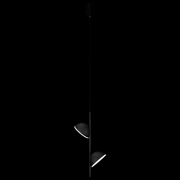 Светильник подвесной Loft It Mons 10335 Black