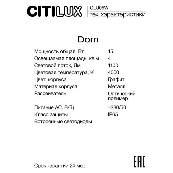 Уличный настенный светильник Citilux Dorn CLU05W