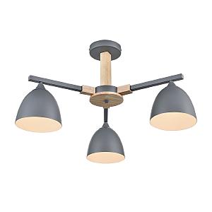 Потолочная люстра Lumion Colange 8096/3C