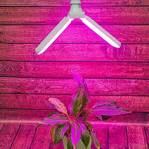 Лампа для растений Uniel LED-P65-16W/SPSB/E27/FR/P2 PLP32WH
