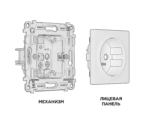 Розетка Ambrella Volt ALFA MA406010