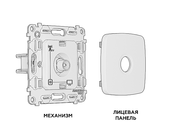 Розетка Ambrella Volt OMEGA MO813010